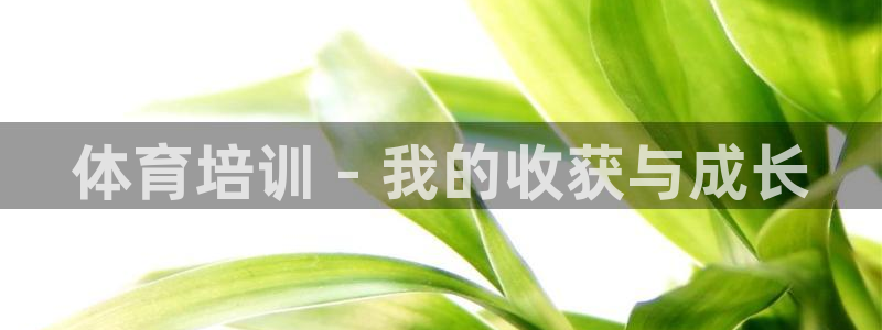 富联申购何时上市：体育培训 - 我的收获与成长