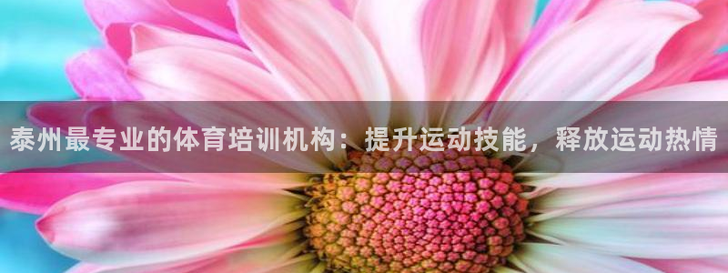 富联娱乐官方网站下载：泰州最专业的体育培训机构：提升运动技能