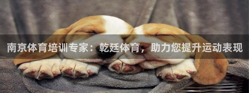 富联官方网站入口下载：南京体育培训专家：乾廷体育，助