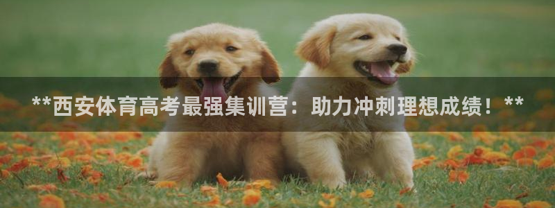 富联平台用户登陆不了：**西安体育高考最强集训营：助