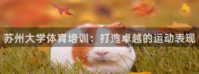 富联娱乐平台怎么样：苏州大学体育培训：打造卓越的运动表现