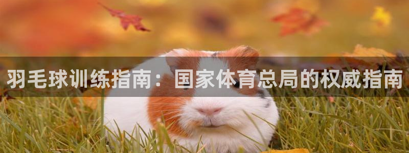富联平台系 5O6917 富联：羽毛球训练指南：国家