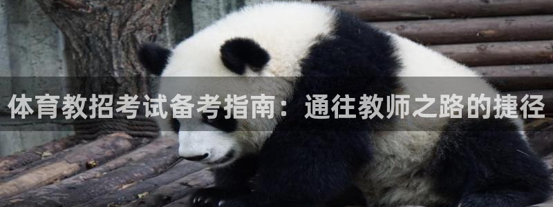 富联智能：体育教招考试备考指南：通往教师之路的捷径