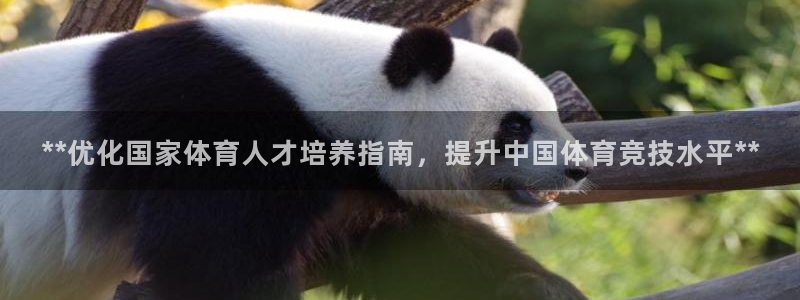 富联娱乐靠 58534I 富联：**优化国家体育人才培养指南