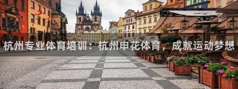富联平台登录网址查询：杭州专业体育培训：杭州申花体育