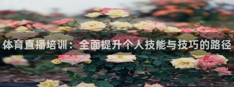 富联平台飞 411o31 富联