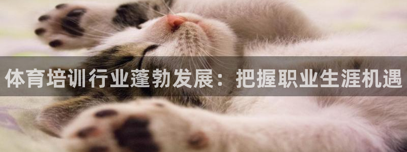 富联平台官网登录入口手机版：体育培训行业蓬勃发展：把握职业生