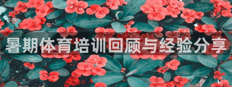 富联智能：暑期体育培训回顾与经验分享